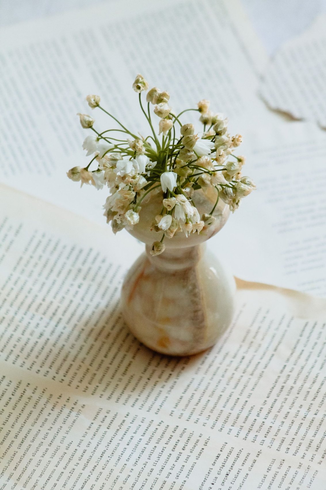 A small narrow-necked vase with white flowers