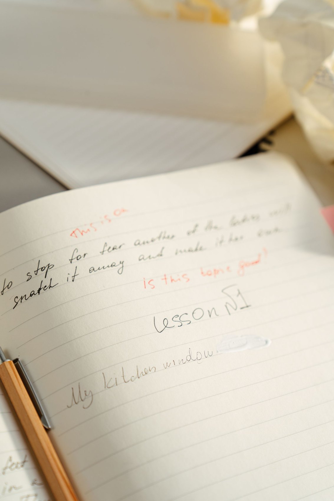 An open notebook with handwritten entries